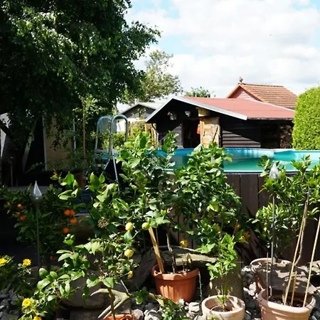 Limone 2 * Neu Lindenberg