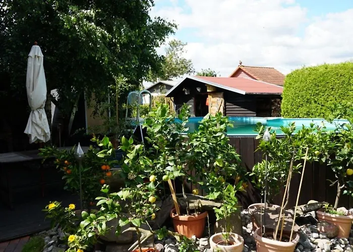 Limone 2 * Neu Lindenberg