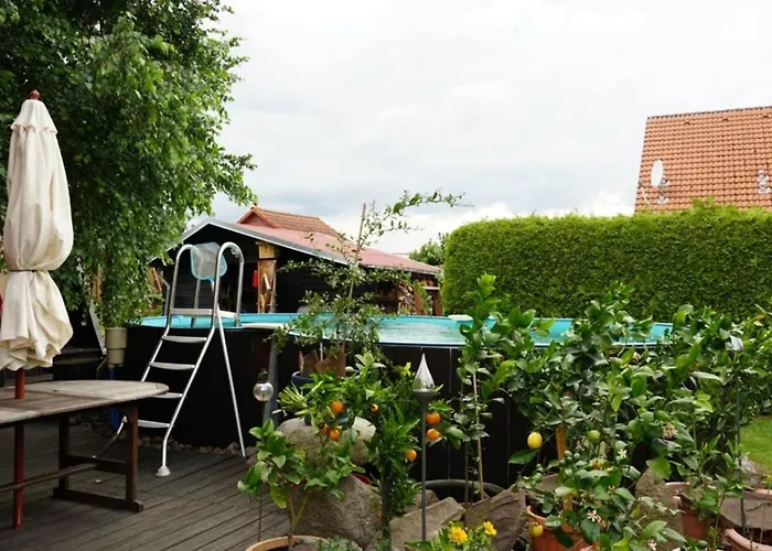 Limone 2 Neu Lindenberg