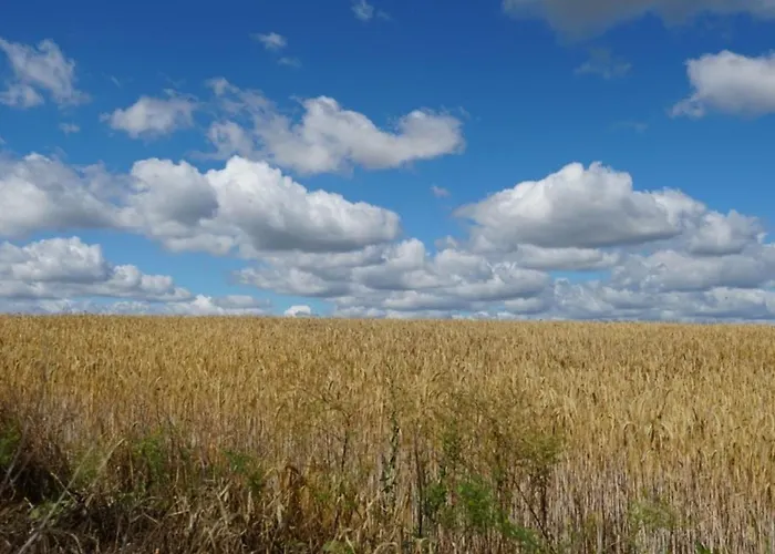 Appartement Limone 2