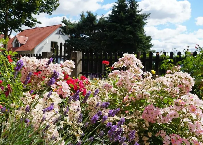 Limone 2 Appartement Neu Lindenberg