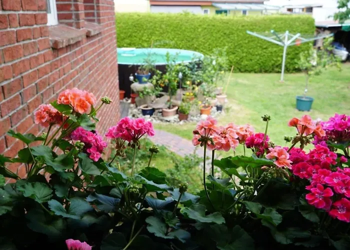 Appartement Limone 2